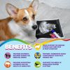 Prenatal Dog Vitamins Multivitamin for Dogs and Cats with Folic Acid Minerals and Amino Acids Ideal for Pregnant Breast Feeding and Newborn Pets Senio